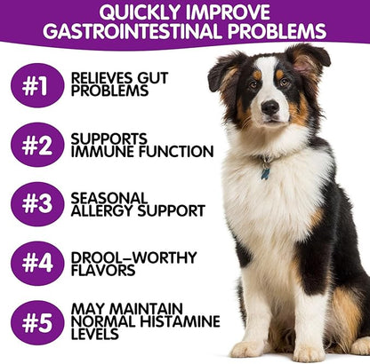 Probiotics for Dogs,Dog Probiotics for Digestive Enzymes,Gut Health,Itchy Skin,Allergies,Yeast Balance,Probiotics Chew for Dogs,Dog Probiotics for Small,Medium,Large Dogs,120 Count,Peking Duck Flavor