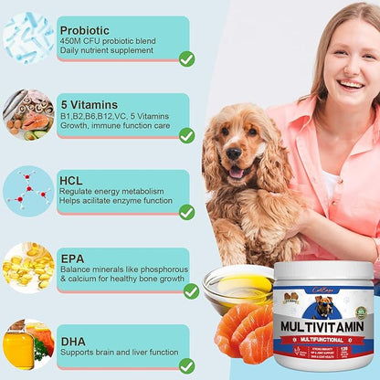 Multivitamin Dog Supplement [2Pack ] with Glucosamine, Probiotics, Fish Oil - Promotes Healthy Skin and Coat, Supports Joint Health and Digestive Function (Chicken Flavor 240 Ct)