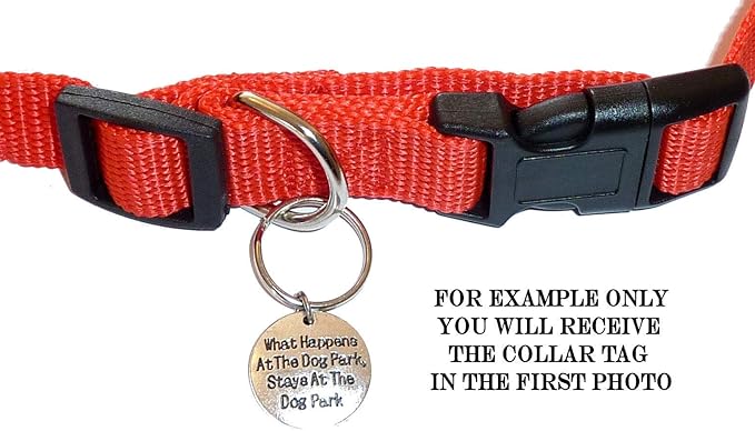 Hidden Hollow Beads Custom Pet Dog and Cat Tags, Funny Cute Sayings for Your Pet's Collar. for Pet Lovers. (What Happens at The Dog Park, Stays at The)