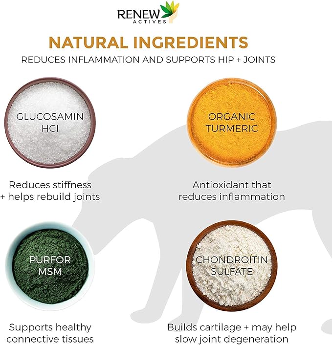 Renew Actives Organic Turmeric Joint Supplement for Dogs - Advanced Canine Support for Hip, Joint & Cartilage Health - Natural Mobility Formula with 120 Chewable Soft Treats