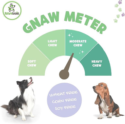 Nature Gnaws Chicken Jerky for Dogs – Made in The USA – Premium Natural Grain Free Dog Chew Treats – 2lb