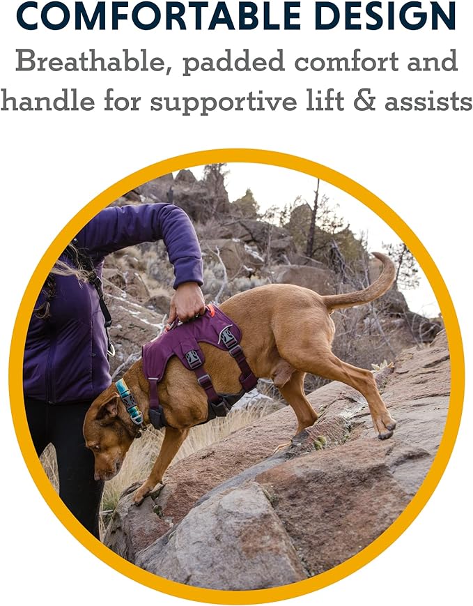 Ruffwear, Web Master, Multi-Use Support Dog Harness, Hiking and Trail Running, Service and Working, Everyday Wear, Purple Rain, Medium