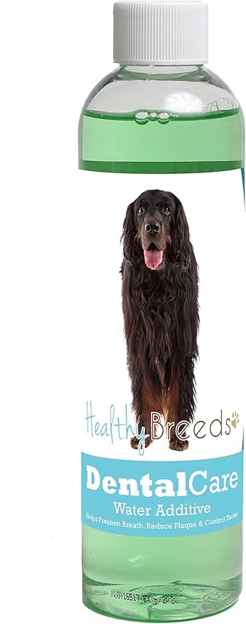 Healthy Breeds Dog Dental Care Water Additive for Gordon Setter - Helps Freshen Breath, Reduce Plaque & Control Tartar - Mint Flavor - 8 oz