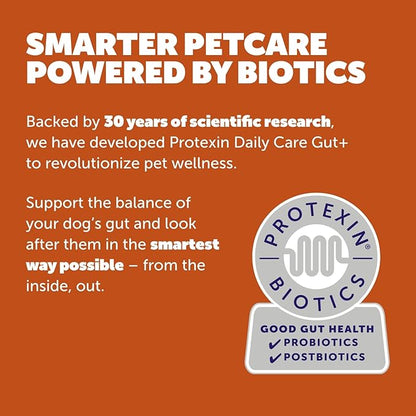 Daily Care Gut+ Immunity, 60 probiotic and postbiotic Dog Supplement Chews – Turkey and Cranberry Flavored