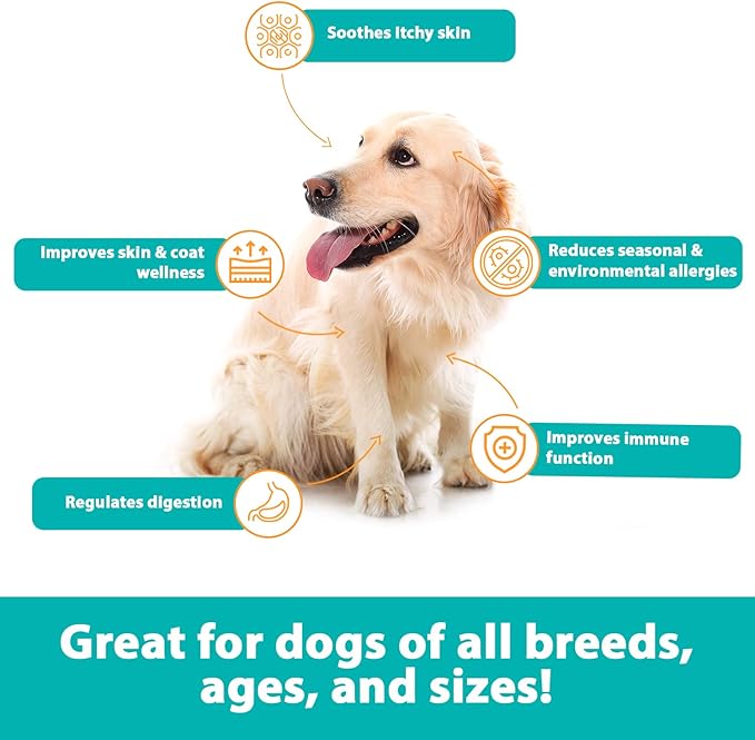RestoraPet Allergy, Itch & Immune Soft Chews - Natural Supplement for Dogs - Support Immunity, Soothe Skin Irritation, Improve Coat Quality – with Lactoferrin, Colostrum & Omega 3-60 Bacon Chewables
