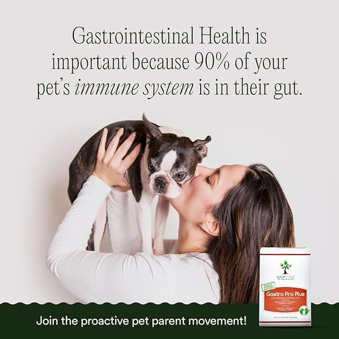 pawTree Gastro Pro Plus- Probiotics, Prebiotics & Digestive Enzymes Supplement for Dogs & Cats- Promotes Stomach Relief, Helps with Upset Gut, Constipation, Bad Gas & Diarrhea- Pet Health Essentials