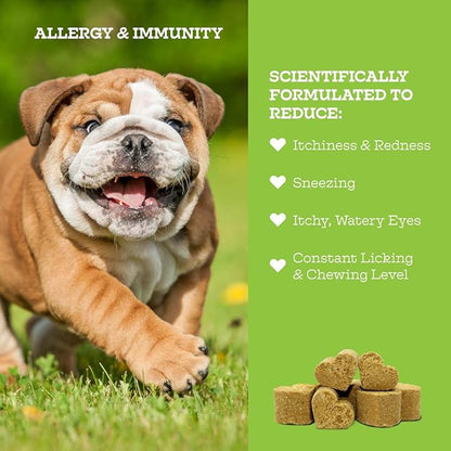 Moe’s Allergy and Immune Support for Dogs-Supports Anti-Itch, Seasonal Allergies & Immunity-Omega 3 Wild Alaskan Salmon Fish Oil - Dog Allergy Treatment, Skin Health- Made in USA- 90 Chews (Chicken)