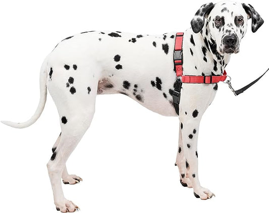 PetSafe Easy Walk Deluxe Dog Harness, No Pull Dog Harness – Perfect for Leash & Harness Training – Stops Pets from Pulling and Choking on Walks – Large, Rose