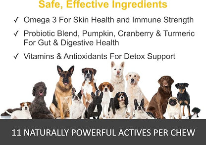 Allergy Relief for Dogs. Omega 3, Pumpkin & Probiotics for Dog Seasonal Allergies & Itchy Skin. Strengthens Immune System & Improves Digestive Health. Made in USA. 120 Soft Chews