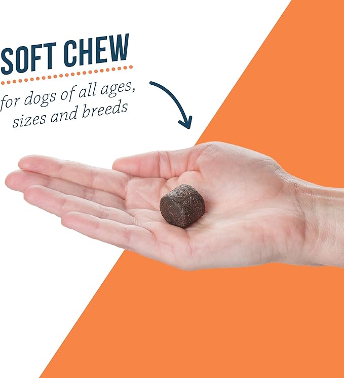 Pet Protect Synovi G4 Dog Joint Supplement Chews, 60-Count, for Dogs of All Ages, Sizes and Breeds