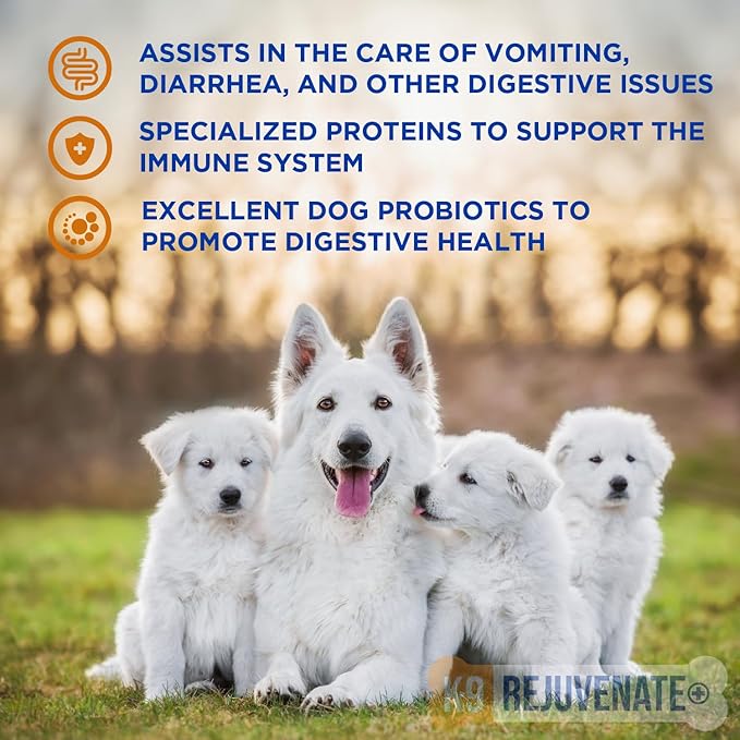 K9 Rejuvenate+ Canine Oral Paste (60g Oral Syringe, Pack of 2) Digestive and Immune Support for Dogs - Dog Supplements for Digestion