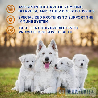 K9 Rejuvenate+ Canine Oral Paste (60g Oral Syringe, Pack of 2) Digestive and Immune Support for Dogs - Dog Supplements for Digestion