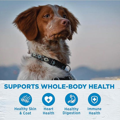 Wellness Simple Limited Ingredient Grain-Free Turkey and Potato Recipe Dry Dog Food, 40- Pound Bag