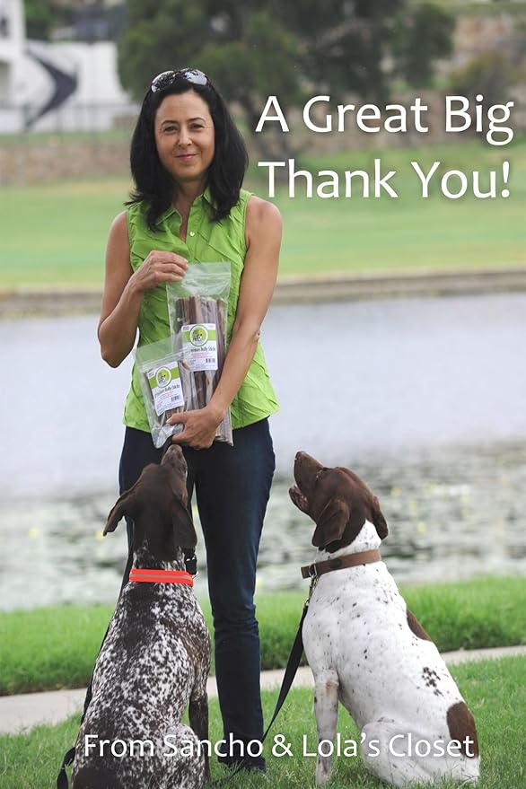 Savory Soft Elk Jerky Treats for Dogs with Allergies Limited Ingredients 12-Count, Gluten-Free by Sancho & Lola's