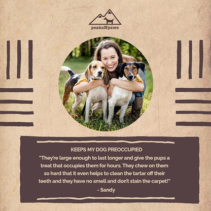 Premium Yak Cheese Dog Treats - Natural Yak Chews from Himalayan Mountains - Grain Free, Lactose Free - Easily Digestible, Promotes Oral Health (3 Lb. Bag)