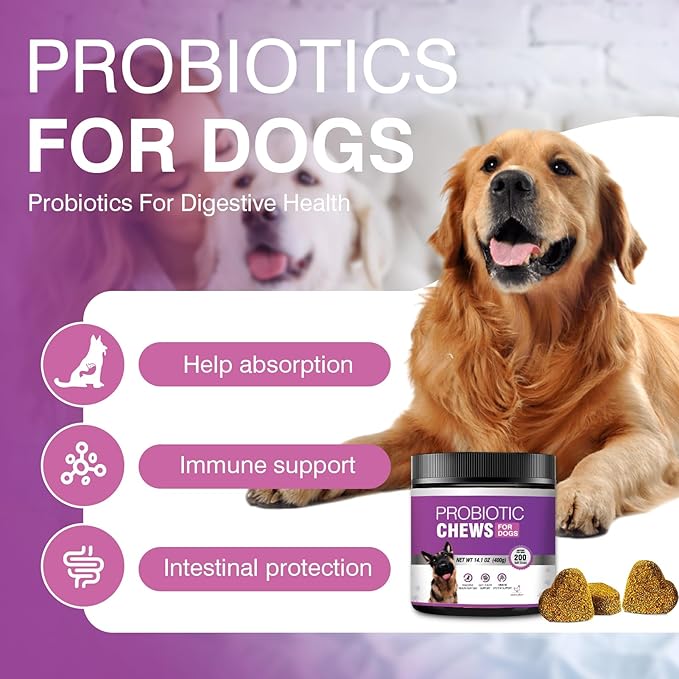 Probiotics for Dogs Dog Probiotic Chews and Digestive Enzymes Prebiotic Health Gut Itchy Skin Probioticos Itching Diarrhea Chew Supplements Canine Pet Prebiotics 200 Natural Soft Chewable Tablets