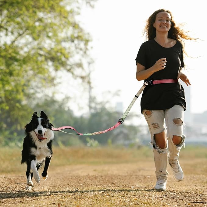 Roses&Poetry Hands Free Dog Leash Heavy Duty,No Pull Bungee Dog Running Waist Leash for Walking Training with Car Seatbelt 4-6FT
