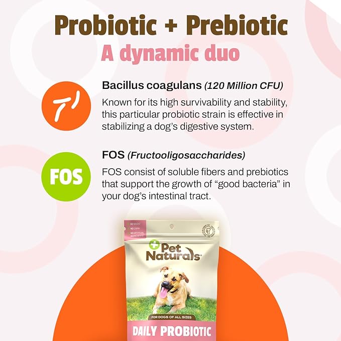 Pet Naturals Daily Probiotic for Dogs, 120M CFUs - Pre and Probiotics for Dogs Digestive Health, Gut Health, Immune Support, Diarrhea, Allergies and Itching - 160 Chews, Duck Flavor