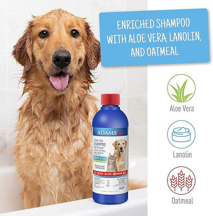 Adams Carpet Spray + Shampoo Bundle