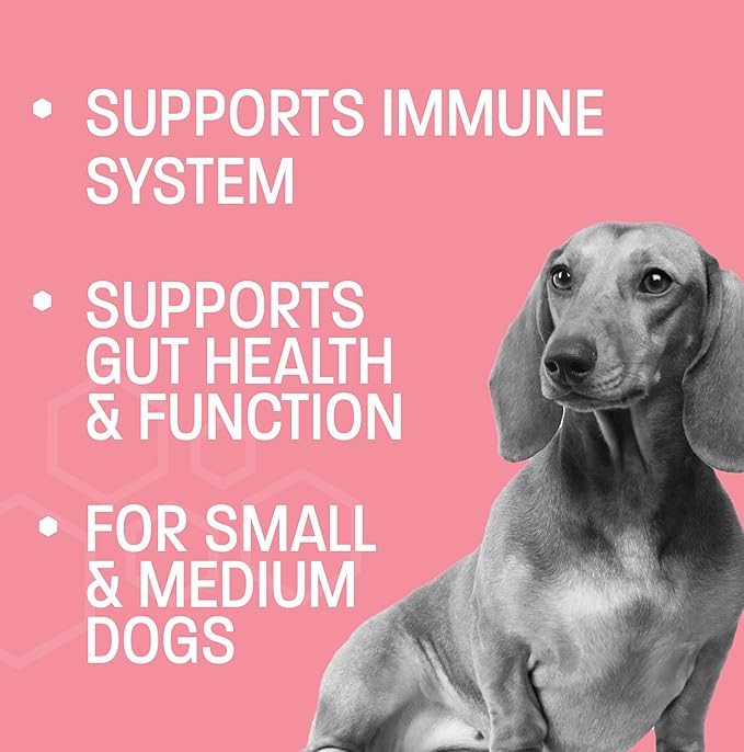 Dog Probiotic Chews for Dogs - Support Healthy Digestion Dog Probiotics and Digestive Enzymes for Gut Health for Dogs - for Traveling, Kenneling and Training - Small/Medium Dog - 30 ct