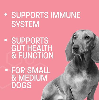 Dog Probiotic Chews for Dogs - Support Healthy Digestion Dog Probiotics and Digestive Enzymes for Gut Health for Dogs - for Traveling, Kenneling and Training - Small/Medium Dog - 30 ct