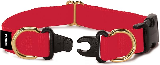 PetSafe KeepSafe Break-Away Collar, Prevent Collar Accidents for your Dog or Puppy, Improve Safety, Compatible with Lead Use, Adjustable Sizes