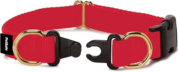 PetSafe KeepSafe Break-Away Collar, Prevent Collar Accidents for your Dog or Puppy, Improve Safety, Compatible with Lead Use, Adjustable Sizes