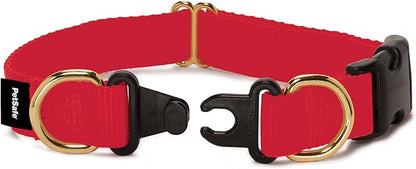 PetSafe KeepSafe Break-Away Collar, Prevent Collar Accidents for your Dog or Puppy, Improve Safety, Compatible with Lead Use, Adjustable Sizes