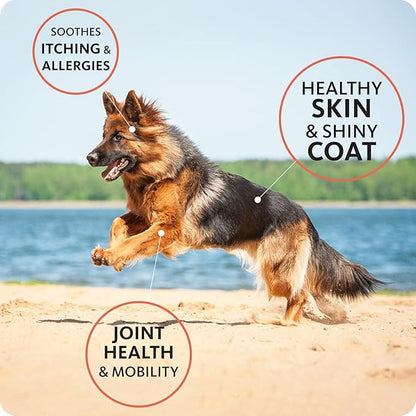 Brilliant Omega 3 Salmon Oil for Dogs & Cats - Norwegian Fish Oil Supplement with EPA & DHA Fatty Acids for Shedding, Allergy, Itching, Dry Skin & Joints - Skin and Coat Fish Oil Liquid, (2 x 16.9 Oz)