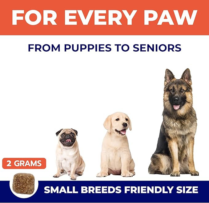 Omega 3 Fish Oil for Dogs (180 Ct) - Skin & Coat Chews - Dry & Itchy Skin Relief + Allergy Support - Shiny Coats - EPA&DHA Fatty Acids - Natural Salmon Oil Chews Promotes Heart, Hip & Joint Support