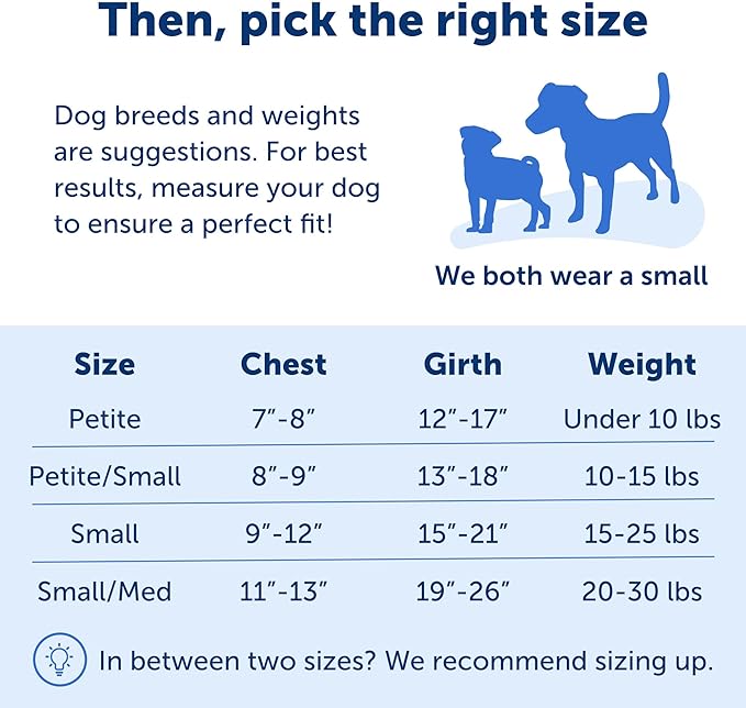 PetSafe Easy Walk No-Pull Dog Harness - The Ultimate Harness to Help Stop Pulling - Take Control & Teach Better Leash Manners - Helps Prevent Pets Pulling on Walks, Small, Teal