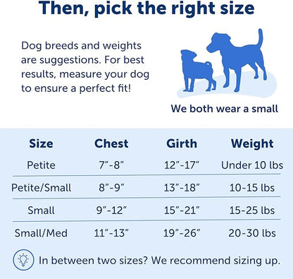 PetSafe Easy Walk No-Pull Dog Harness - The Ultimate Harness to Help Stop Pulling - Take Control & Teach Better Leash Manners - Helps Prevent Pets Pulling on Walks - Small/Medium, Charcoal/Black