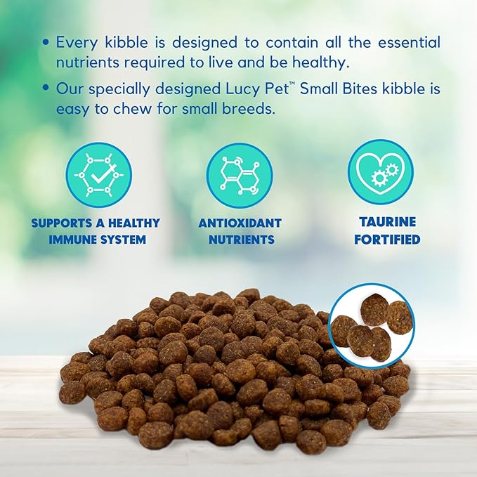Lucy Pet Products Salmon, Pumpkin & Quinoa Small Bites for Dogs 4.5lb 100600033