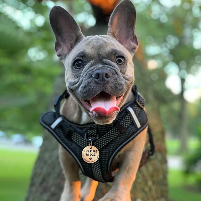 MYLUCKYTAG Stainless Steel QR Code Pet ID Tags Dog Tags - Pet Online Profile - Scan QR Receive Instant Pet Location Alert Email