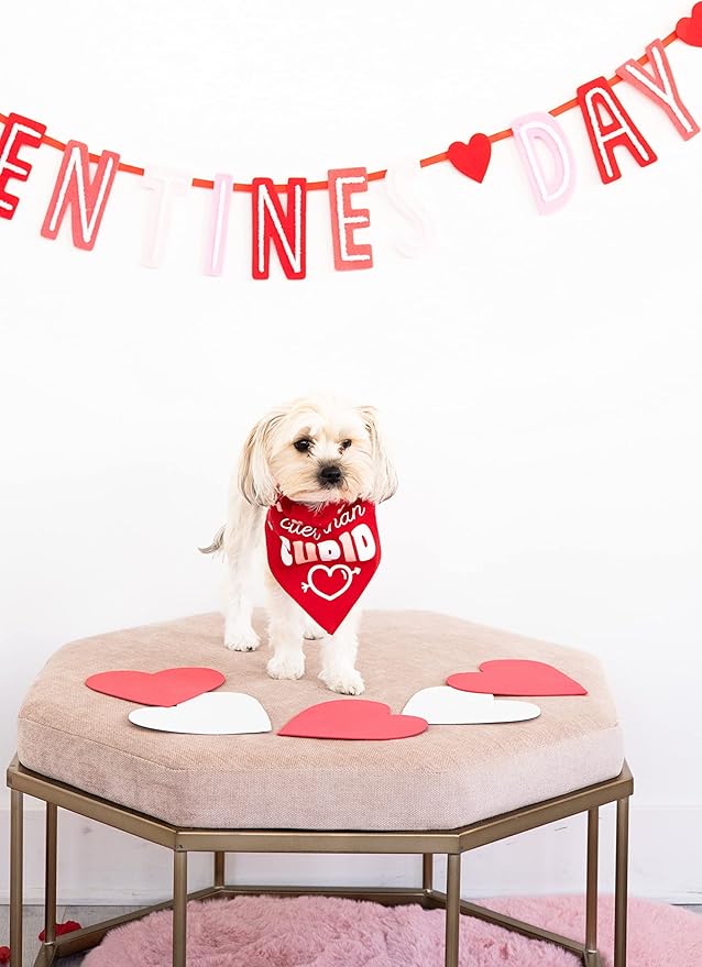 Pearhead Holiday Pet Bandana, Valentine's Day Outfit for Pets, Slide-On Bandana, Dog or Cat Apparel Accessory, Cuter Than Cupid, Small/Medium, S/M