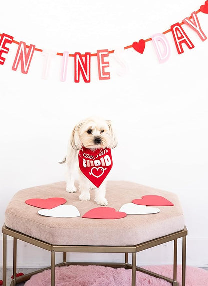 Pearhead Holiday Pet Bandana, Valentine's Day Outfit for Pets, Slide-On Bandana, Dog or Cat Apparel Accessory, Cuter Than Cupid, Small/Medium, S/M