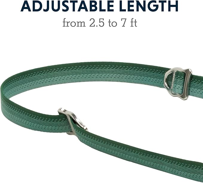 Ruffwear, Switchbak Dog Leash, Convertible & Adjustable Lead for Everyday Use, River Rock Green