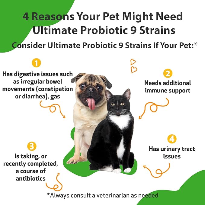 Pet Wellbeing - Ultimate Probiotic 9 Strains for Cats and Dogs - Natural Support for Digestion and Urinary Tract Health 160 grams.