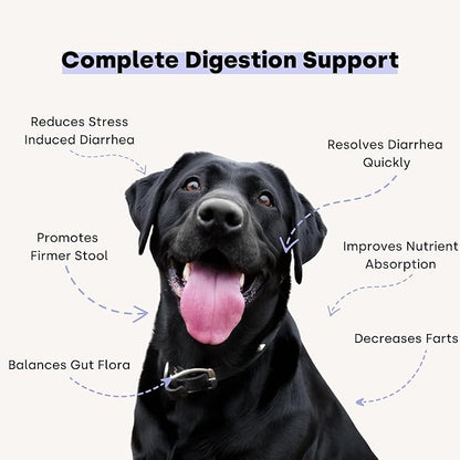 Kayode Ultimate Digestion. Fast Acting Anti-Diarrhea Dog Chews. Dog Fart Remedy. Digestive Enzymes for Dogs, Easy Stool Firmer for Dogs. Led with Safe Pumpkin for Dogs.