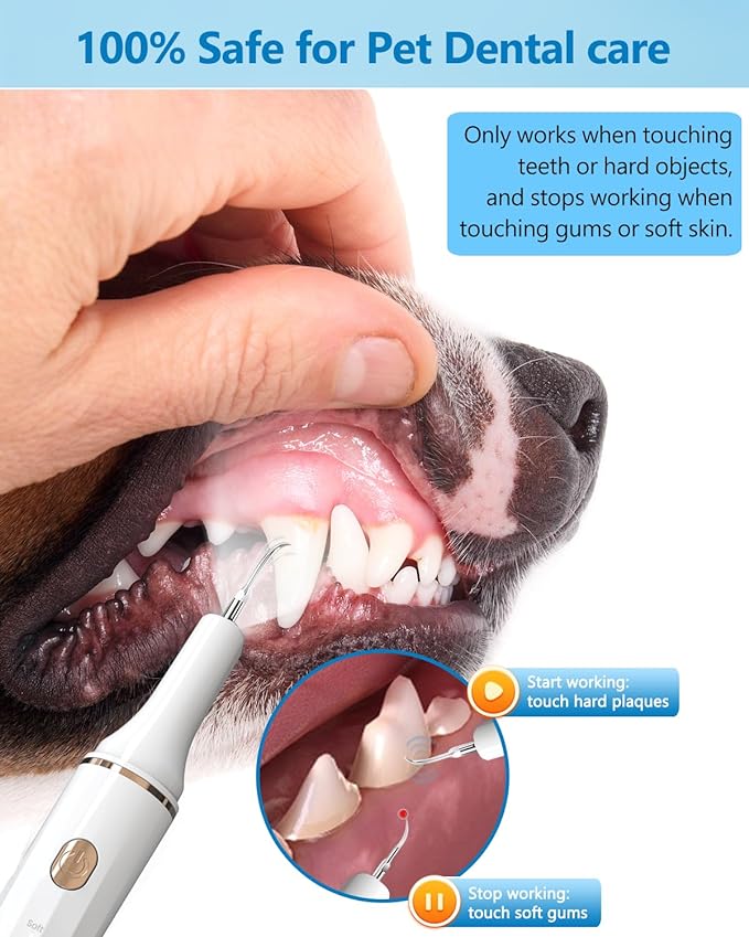 Hansaplast Plaque Remover for Teeth, Dog Teeth Cleaning, Dental Tools to Remove Tartar and Stains, Safe for Dogs & Cats, with Led Light & 5 Adjustable Modes (A-White)