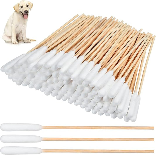 300 Pieces Cotton Swabs for Dogs, 6 Inch Pet Cotton Ear Buds for Puppy Long Qtips for Dogs Ear Cotton Buds Dog Ear Care Cotton Sticks for Apply Medicine, Clean Wound