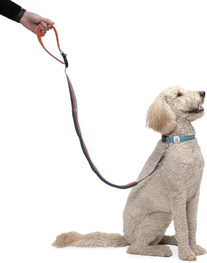 Furhaven Bungee Dog Leash w/ Quick Release Easy Tether - Sea Breeze Stripe, One Size