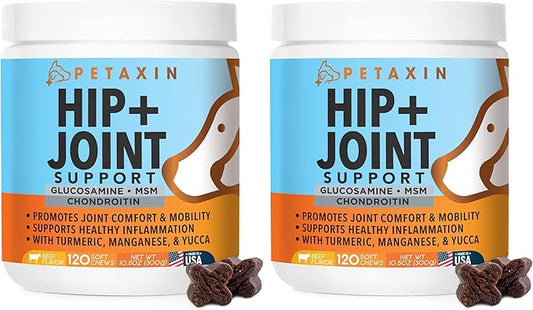 Glucosamine for Dogs - Advanced Hip and Joint Supplement for Dogs - Dog Joint Supplement for Joint Pain Relief and Mobility - Dog Glucosamine with Chondroitin, MSM, Turmeric - 240 Soft Chews