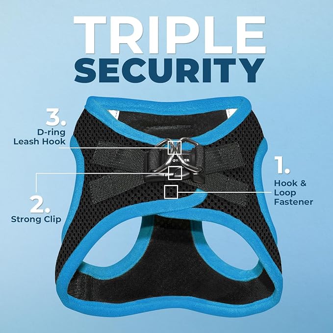 Voyager Step-in Air Dog Harness - All Weather Mesh Step in Vest Harness for Small and Medium Dogs by Best Pet Supplies - Blue Trim, S