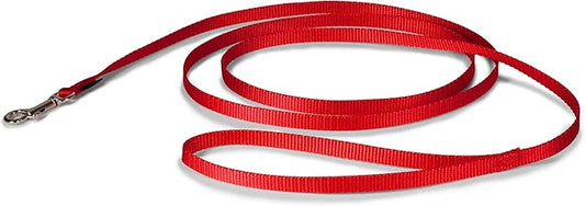 PetSafe Nylon Dog Leash - Strong, Durable, Traditional Style Leash with Easy to Use Bolt Snap - 3/8 in. x 6 ft., Red