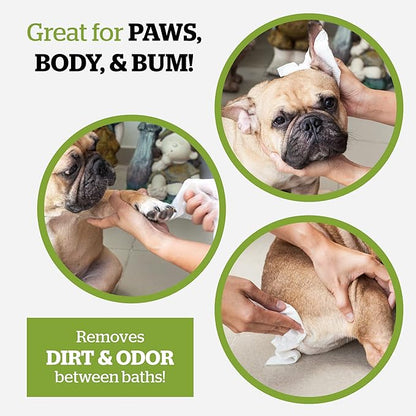 Pogi's Dog Grooming Wipes - 100 Dog Wipes for Cleaning and Deodorizing - Plant-Based, Hypoallergenic Pet Wipes for Dogs, Puppy Wipes - Quick Bath Dog Wipes for Paws, Butt, & Body - Fragrance Free