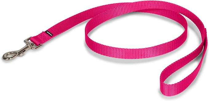 PetSafe Nylon Dog Leash - Strong, Durable, Traditional Style Leash with Easy to Use Bolt Snap - 3/4 in. x 3 ft., Raspberry Pink