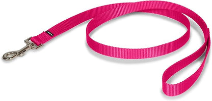 PetSafe Nylon Dog Leash - Strong, Durable, Traditional Style Leash with Easy to Use Bolt Snap - 3/4 in. x 3 ft., Raspberry Pink