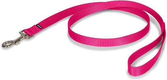 PetSafe Nylon Dog Leash - Strong, Durable, Traditional Style Leash with Easy to Use Bolt Snap - 3/4 in. x 3 ft., Raspberry Pink
