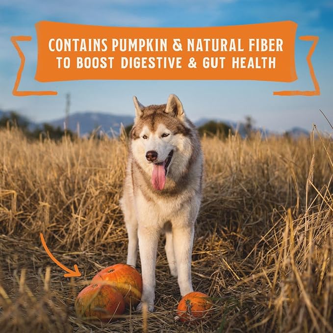 Stella & Chewy's Wild Red Stew High Protein Wet Dog Food Large Variety Pack Bundle, 10 Ounce Cans (Pack of 18)